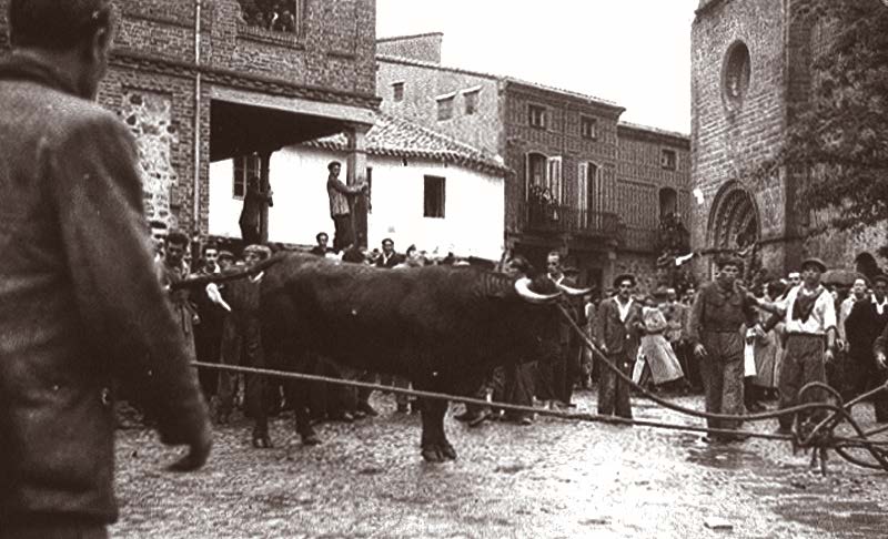 El Toro en la argolla de la Plaza de la Madera, año 1948