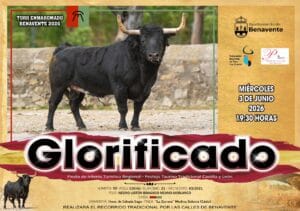 Glorificado, Toro Enmaromado 2026